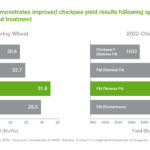 Reddy Anna ID: Comprehensive Guide to Access, Benefits, and Secure Login for Online Book Readers